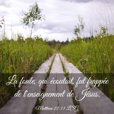 Picture 03 - Matthieu 22:33 LSG - La foule, qui écoutait, fut frappée de - Bible Verse Picture