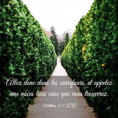 Picture 03 - Matthieu 22:9 LSG - Allez donc dans les carrefours, et appelez aux - Bible Verse Picture