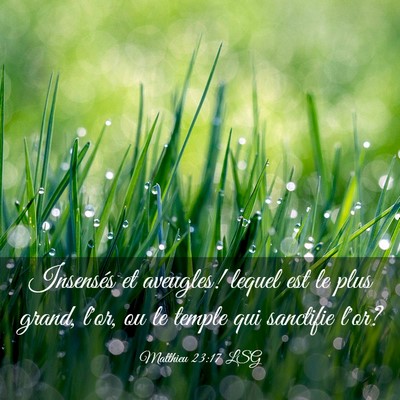 Picture 03 - Matthieu 23:17 LSG - Insensés et aveugles! lequel est le plus grand, - Bible Verse Picture