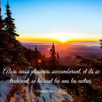Picture 03 - Matthieu 24:10 LSG - Alors aussi plusieurs succomberont, et ils se - Bible Verse Picture