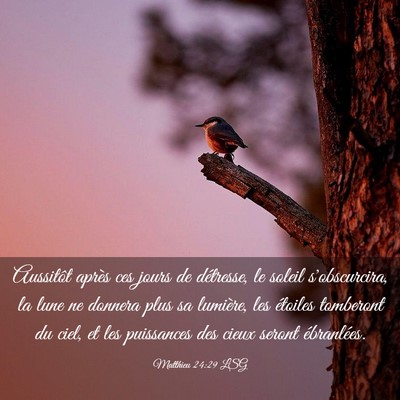 Picture 03 - Matthieu 24:29 LSG - Aussitôt après ces jours de détresse, le - Bible Verse Picture