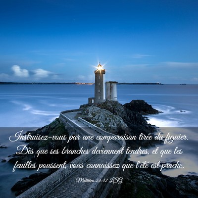 Picture 03 - Matthieu 24:32 LSG - Instruisez-vous par une comparaison tirée du - Bible Verse Picture
