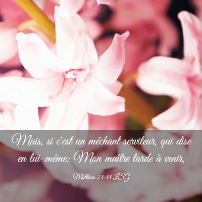 Picture 03 - Matthieu 24:48 LSG - Mais, si c'est un méchant serviteur, qui dise en - Bible Verse Picture
