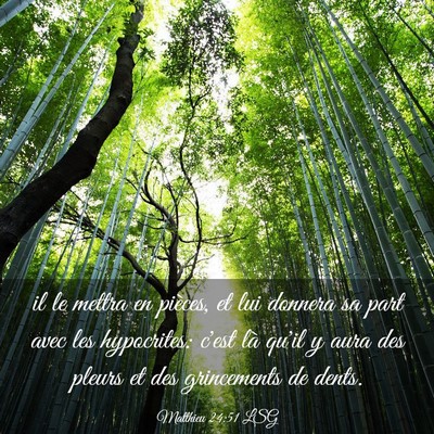 Picture 03 - Matthieu 24:51 LSG - il le mettra en pièces, et lui donnera sa part - Bible Verse Picture
