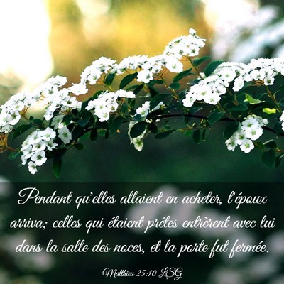 Picture 03 - Matthieu 25:10 LSG - Pendant qu'elles allaient en acheter, l'époux - Bible Verse Picture