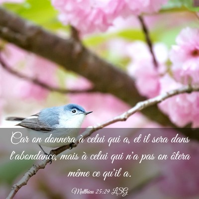 Picture 03 - Matthieu 25:29 LSG - Car on donnera à celui qui a, et il sera dans - Bible Verse Picture