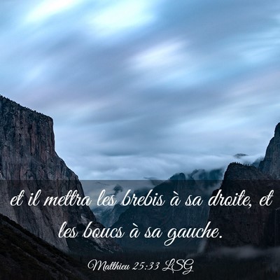 Picture 03 - Matthieu 25:33 LSG - et il mettra les brebis à sa droite, et les - Bible Verse Picture