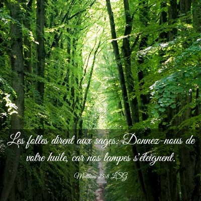 Picture 03 - Matthieu 25:8 LSG - Les folles dirent aux sages: Donnez-nous de votre - Bible Verse Picture