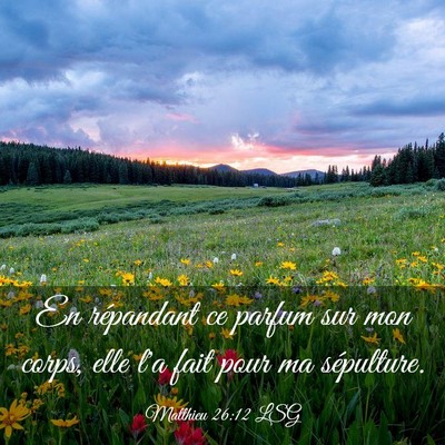 Picture 03 - Matthieu 26:12 LSG - En répandant ce parfum sur mon corps, elle l'a - Bible Verse Picture