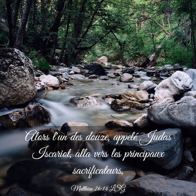 Picture 03 - Matthieu 26:14 LSG - Alors l'un des douze, appelé Judas Iscariot, - Bible Verse Picture