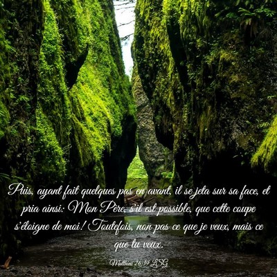 Picture 03 - Matthieu 26:39 LSG - Puis, ayant fait quelques pas en avant, il se - Bible Verse Picture