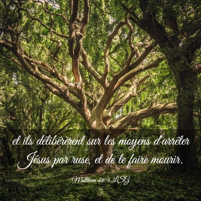 Picture 03 - Matthieu 26:4 LSG - et ils délibérèrent sur les moyens d'arrêter - Bible Verse Picture