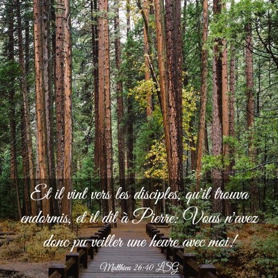 Picture 03 - Matthieu 26:40 LSG - Et il vint vers les disciples, qu'il trouva - Bible Verse Picture