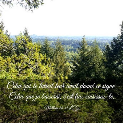 Picture 03 - Matthieu 26:48 LSG - Celui qui le livrait leur avait donné ce signe: - Bible Verse Picture