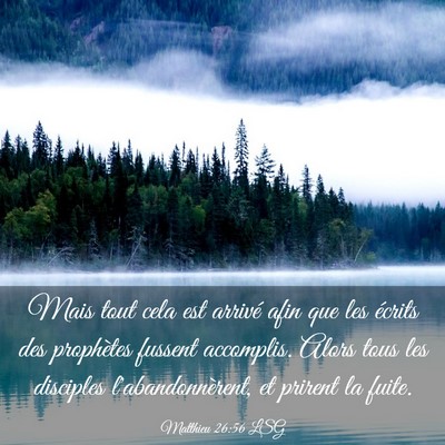 Picture 03 - Matthieu 26:56 LSG - Mais tout cela est arrivé afin que les écrits - Bible Verse Picture