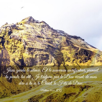 Picture 03 - Matthieu 26:63 LSG - Jésus garda le silence. Et le souverain - Bible Verse Picture