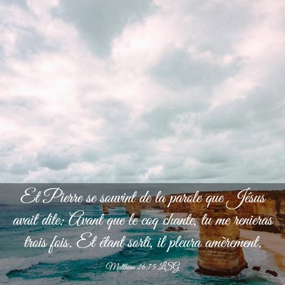 Picture 03 - Matthieu 26:75 LSG - Et Pierre se souvint de la parole que Jésus - Bible Verse Picture