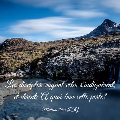 Picture 03 - Matthieu 26:8 LSG - Les disciples, voyant cela, s'indignèrent, et - Bible Verse Picture