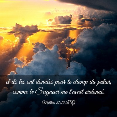 Picture 03 - Matthieu 27:10 LSG - et ils les ont données pour le champ du potier, - Bible Verse Picture