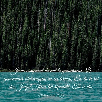 Picture 03 - Matthieu 27:11 LSG - Jésus comparut devant le gouverneur. Le - Bible Verse Picture