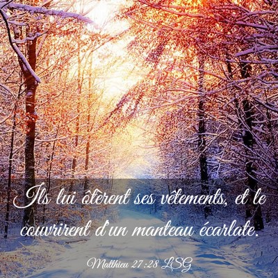 Picture 03 - Matthieu 27:28 LSG - Ils lui ôtèrent ses vêtements, et le - Bible Verse Picture