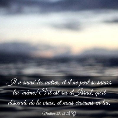 Picture 03 - Matthieu 27:42 LSG - Il a sauvé les autres, et il ne peut se sauver - Bible Verse Picture