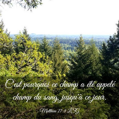 Picture 03 - Matthieu 27:8 LSG - C'est pourquoi ce champ a été appelé champ du - Bible Verse Picture