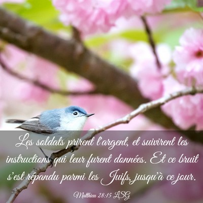 Picture 03 - Matthieu 28:15 LSG - Les soldats prirent l'argent, et suivirent les - Bible Verse Picture