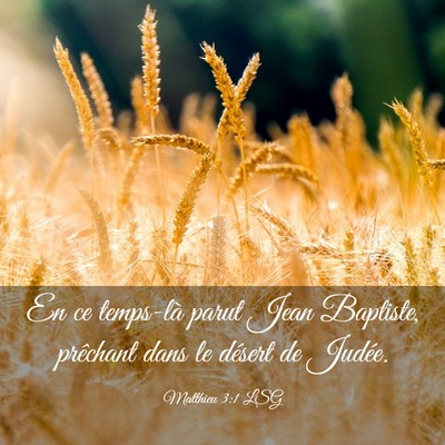 Picture 03 - Matthieu 3:1 LSG - En ce temps-là parut Jean Baptiste, prêchant - Bible Verse Picture