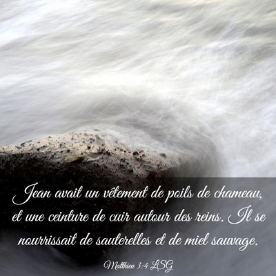 Picture 03 - Matthieu 3:4 LSG - Jean avait un vêtement de poils de chameau, et - Bible Verse Picture