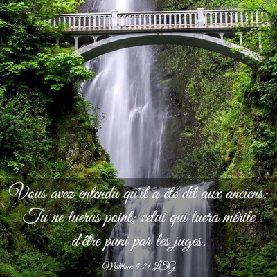 Picture 03 - Matthieu 5:21 LSG - Vous avez entendu qu'il a été dit aux anciens: - Bible Verse Picture