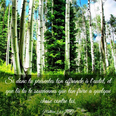 Picture 03 - Matthieu 5:23 LSG - Si donc tu présentes ton offrande à l'autel, et - Bible Verse Picture