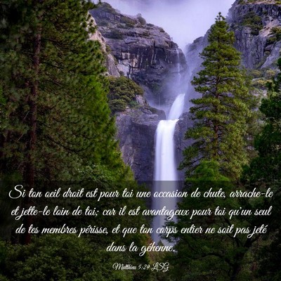 Picture 03 - Matthieu 5:29 LSG - Si ton oeil droit est pour toi une occasion de - Bible Verse Picture