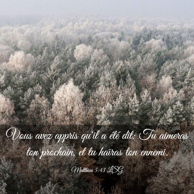 Picture 03 - Matthieu 5:43 LSG - Vous avez appris qu'il a été dit: Tu aimeras - Bible Verse Picture