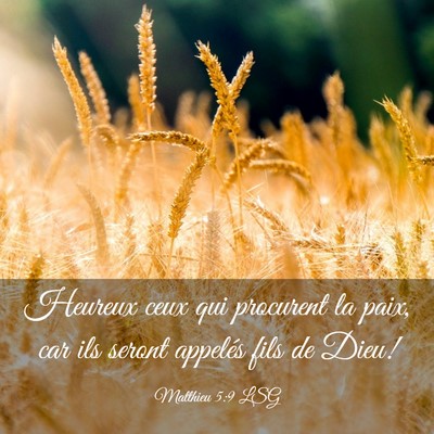 Picture 03 - Matthieu 5:9 LSG - Heureux ceux qui procurent la paix, car ils - Bible Verse Picture