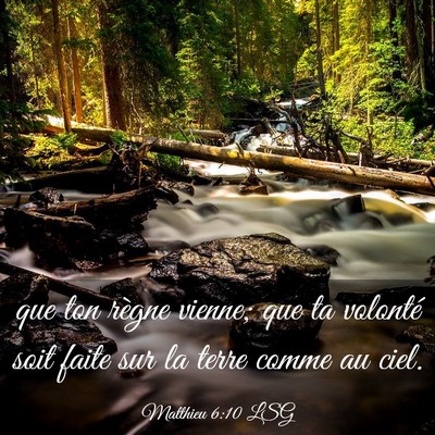 Picture 03 - Matthieu 6:10 LSG - que ton règne vienne; que ta volonté soit faite - Bible Verse Picture