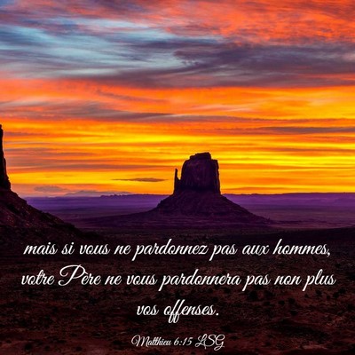 Picture 03 - Matthieu 6:15 LSG - mais si vous ne pardonnez pas aux hommes, votre - Bible Verse Picture
