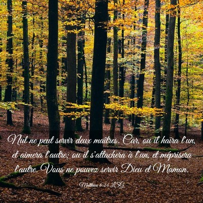 Picture 03 - Matthieu 6:24 LSG - Nul ne peut servir deux maîtres. Car, ou il - Bible Verse Picture