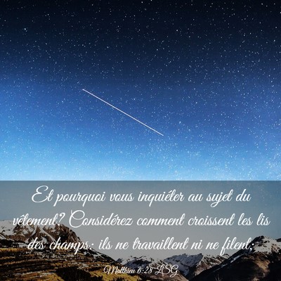 Picture 03 - Matthieu 6:28 LSG - Et pourquoi vous inquiéter au sujet du - Bible Verse Picture