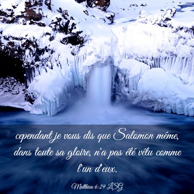 Picture 03 - Matthieu 6:29 LSG - cependant je vous dis que Salomon même, dans - Bible Verse Picture