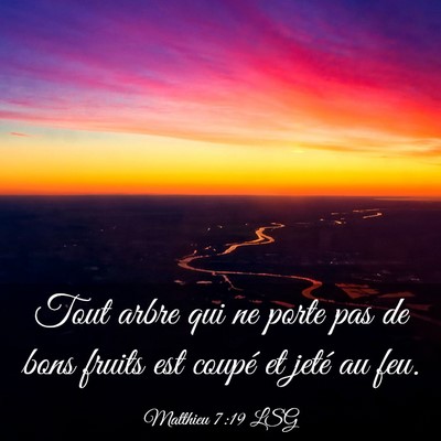 Picture 03 - Matthieu 7:19 LSG - Tout arbre qui ne porte pas de bons fruits est - Bible Verse Picture