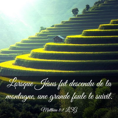 Picture 03 - Matthieu 8:1 LSG - Lorsque Jésus fut descendu de la montagne, une - Bible Verse Picture