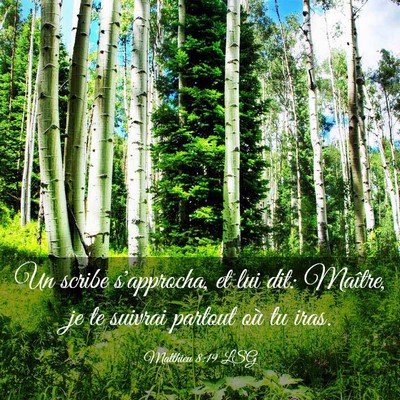 Picture 03 - Matthieu 8:19 LSG - Un scribe s'approcha, et lui dit: Maître, je te - Bible Verse Picture