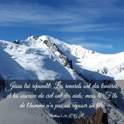 Picture 03 - Matthieu 8:20 LSG - Jésus lui répondit: Les renards ont des - Bible Verse Picture