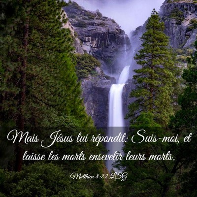 Picture 03 - Matthieu 8:22 LSG - Mais Jésus lui répondit: Suis-moi, et laisse - Bible Verse Picture