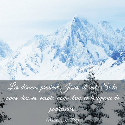 Picture 03 - Matthieu 8:31 LSG - Les démons priaient Jésus, disant: Si tu nous - Bible Verse Picture