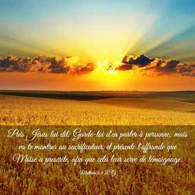 Picture 03 - Matthieu 8:4 LSG - Puis Jésus lui dit: Garde-toi d'en parler à - Bible Verse Picture