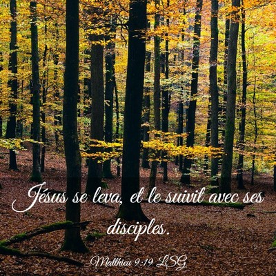 Picture 03 - Matthieu 9:19 LSG - Jésus se leva, et le suivit avec ses - Bible Verse Picture