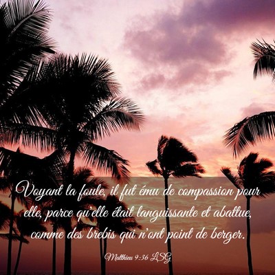 Picture 03 - Matthieu 9:36 LSG - Voyant la foule, il fut ému de compassion pour - Bible Verse Picture