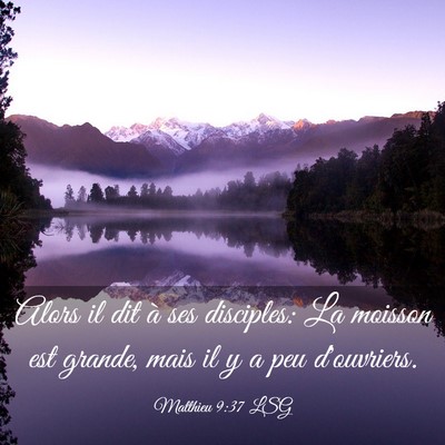 Picture 03 - Matthieu 9:37 LSG - Alors il dit à ses disciples: La moisson est - Bible Verse Picture
